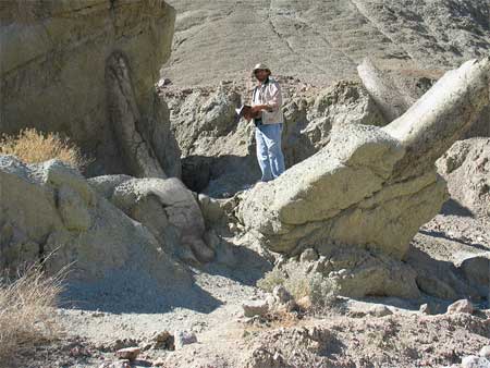 Jebal-Barez-i s�rk�ny (csigoly�k �s bord�k)