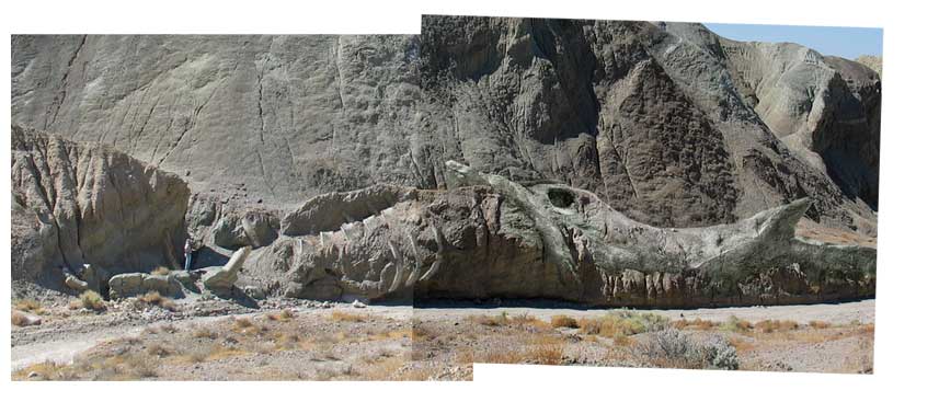 Jebal-Barez-i s�rk�ny (fej)