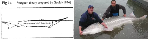 A Loch Ness-i sz�rny