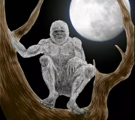 A titokzatos Mtranovki Fanyv