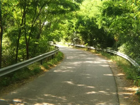 A titokzatos Mtranovki Fanyv