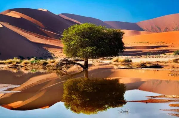 Sossusvlei, Nam�b-sivatag, Nam�bia