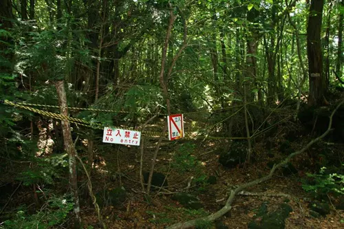 Aokigahara, az �ngyilkosok erdeje - Jap�n