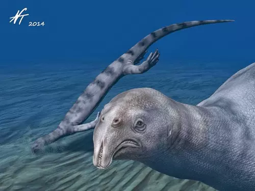 Atopodentatus unicus rekonstrukci�ja