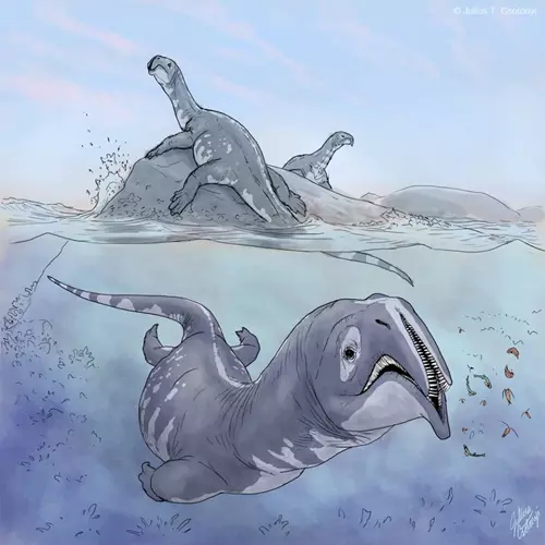 Atopodentatus unicusok rekonstrukci�ja (rajz)