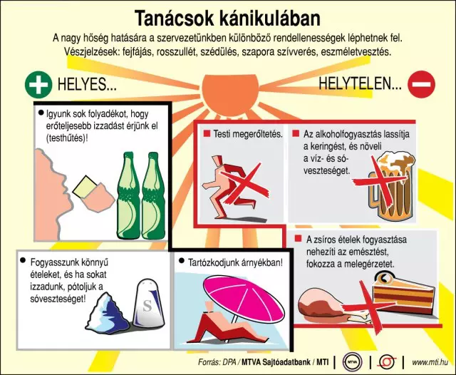 Tan�csaok k�nikul�ban