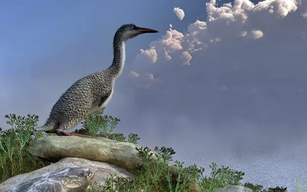 Hesperornis