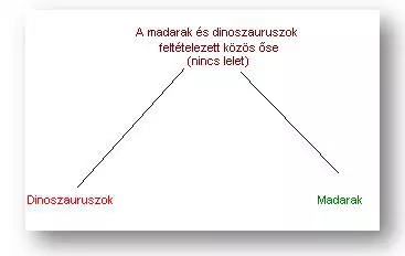 Dinoszaurusz �s mad�r k�z�s �s
