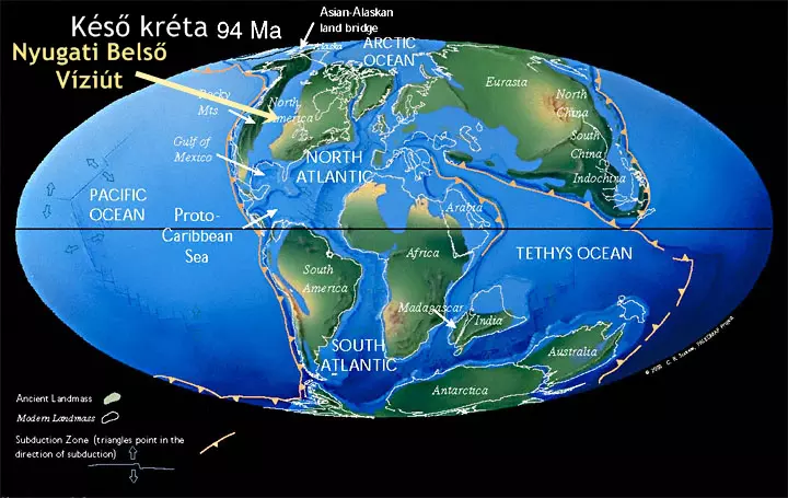 Dolichorhynchops �l�helye - Niobrara-tenger
