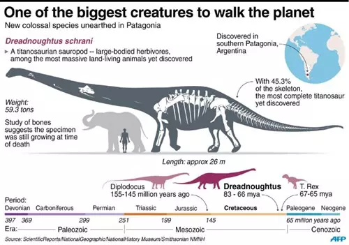Dreadnoughtus schrani csontv�za