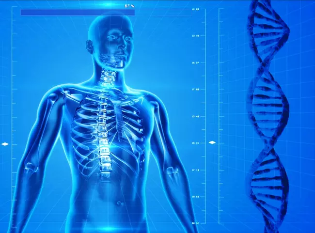 Elkpeszt rdekessgek az emberi testrl