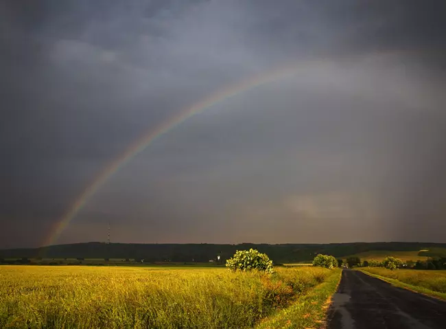 Sziv�rv�ny Nagykanizs�n�l