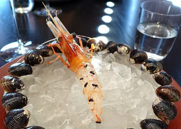 Hangyval fszereznek a vilg legjobb ttermben