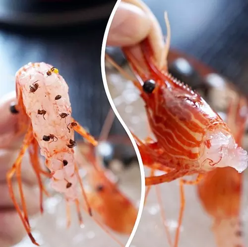 Hangyval fszereznek a vilg legjobb ttermben