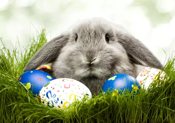 Hsvti nyuszi s tojsok