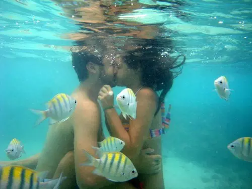 Cs�k a v�z alatt