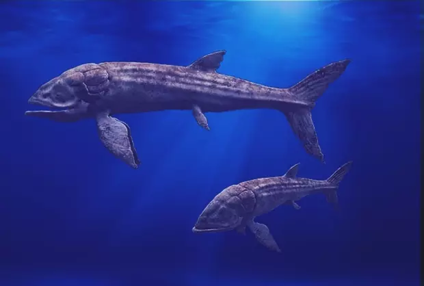 A Leedsichthys problematicus rekonstrukci�ja