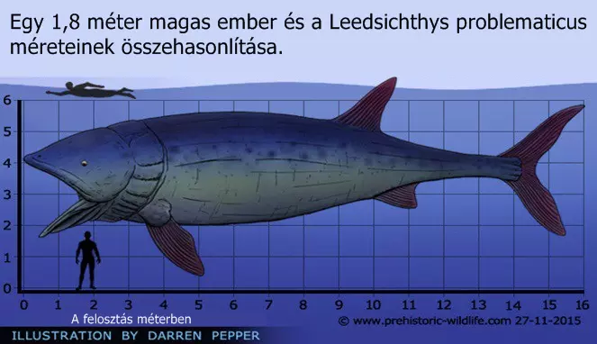 Egy 1,8 m�ter magas ember �s a Leedsichthys problematicus m�reteinek �sszehasonl�t�sa