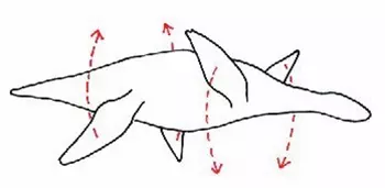 Liopleurodon mozg�sa