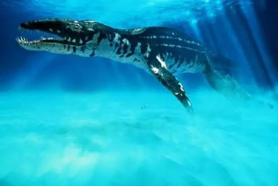 Liopleurodon pachydeirus rekonstrukci�ja