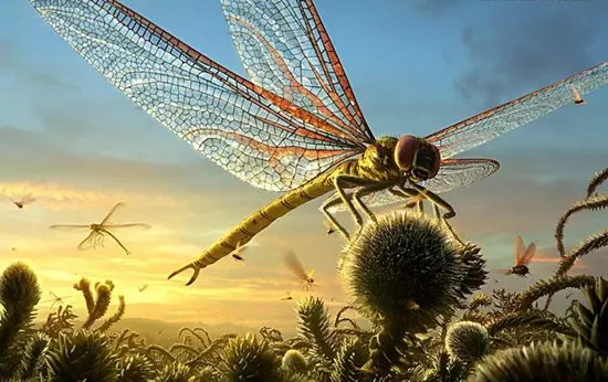 Meganeuropsis rekonstrukci�ja