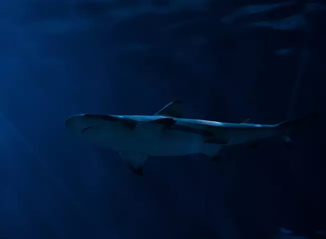 Misztikus helyek a F�ld�n