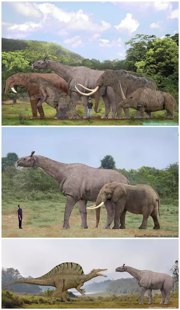 A Paraceratherium, �s n�h�ny nagytest�, m�ra m�r kihalt eml�s