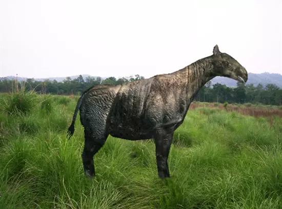 Paraceratherium bugtiense rekonstrukci�