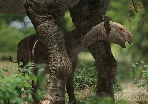 Paraceratherium orgosensis rekonstrukci�ja