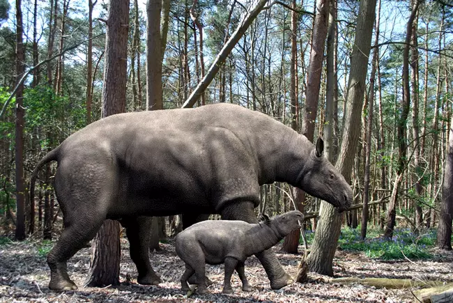 Paraceratherium prohorovi rekonstrukci�ja