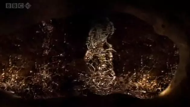 A k�m�letlen Sziafuk