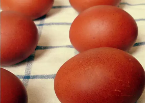 Tojsfests vrshagymahjjal