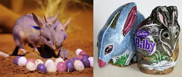 Valdi s csoki bilbyk