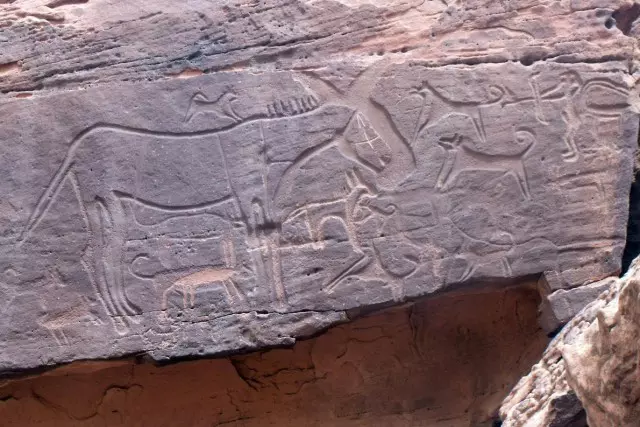 A szikl�ba v�sett K�na�n-kutya rajzok Szaud-Ar�bi�ban