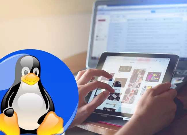 Windows vs Linux